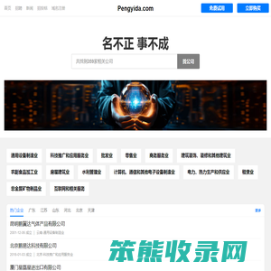 鹏易达有限公司