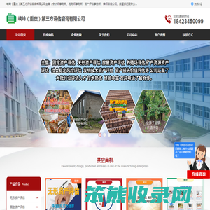 无形资产评估