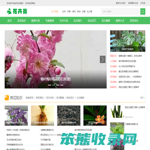 花卉街