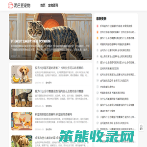 宠物护理指南