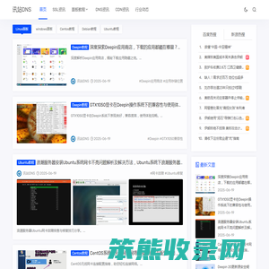 讯站DNS