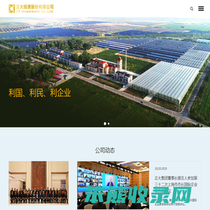 正大投资股份有限公司