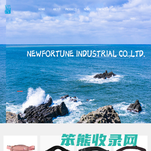 NEWFORTUNE