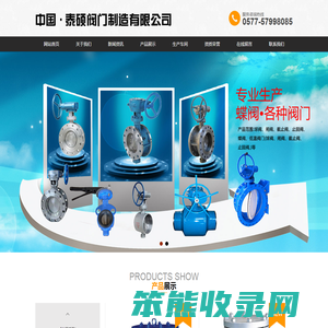 中国泰硕阀门制造有限公司