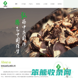 安徽弘腾药业有限公司