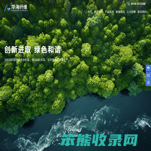 化学机械浆