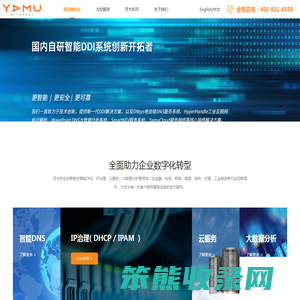 智能DNS设备