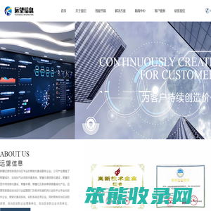 乌鲁木齐新视远望信息技术有限公司