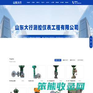 山东大行测控仪表工程有限公司