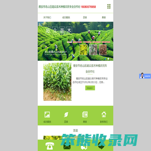 雅安市名山区超众苗木种植农民专业合作社