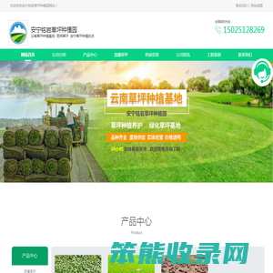 云南安宁铭岩草坪种植园