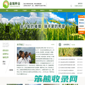 金瑞种业
