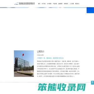 青岛凯迪力学应用研究所有限公司