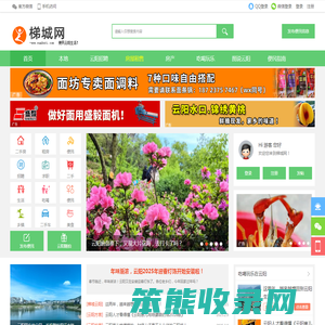 梯城网