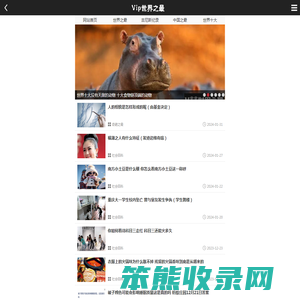 VIP世界之最