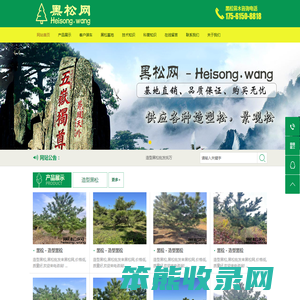 黑松网