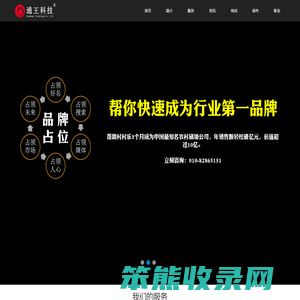 SEO·品牌推广·网络营销策划·王通