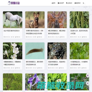 时刻小站