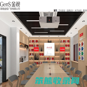 湖南金视广告有限公司