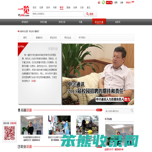 职业的力量