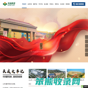 天成集团