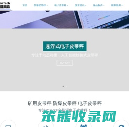 防爆皮带秤煤炭产量监控系统ICS5F本安分站GSD4测速传感器
