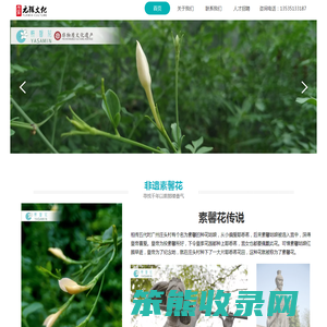 广州市元雅文化有限公司