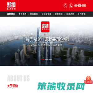 凯纳咨询集团