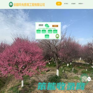 安徽玲光景观工程有限公司