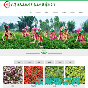 广西小米辣椒