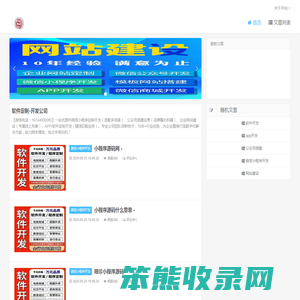 软件定制
