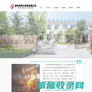 新泰博泰尔铸造有限公司