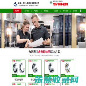 FAG进口轴承