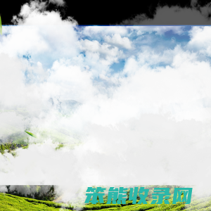 茶叶种植