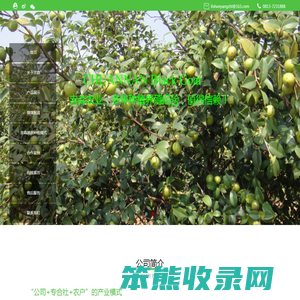 宜宾吉森农业开发有限公司