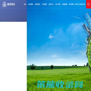 山东盛发焦化有限公司