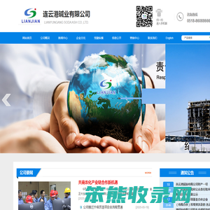 连云港碱业有限公司
