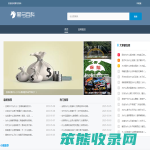 黑马百科