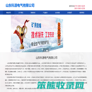 山东科源电气有限公司