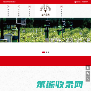 英亨茶叶