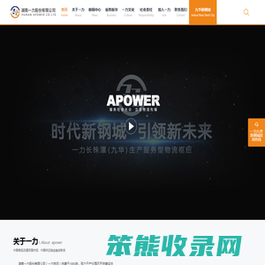湖南一力股份有限公司