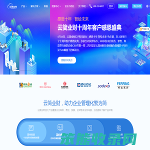 云简业财