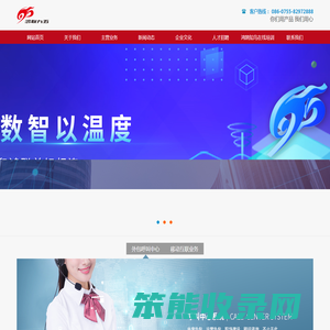 广东鸿联九五信息产业有限公司