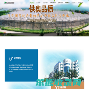 超大现代农业集团