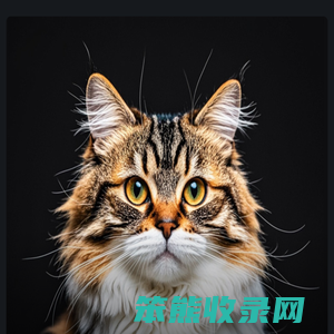 记录生活中的美好瞬间