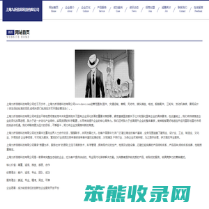 上海九析信息科技有限公司