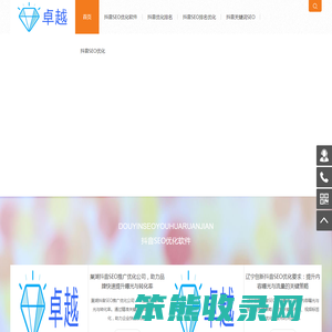 抖音SEO优化软件