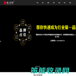 SEO·品牌推广·网络营销策划·王通
