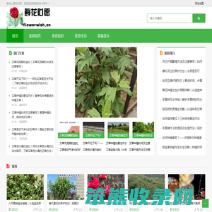 鲜花心愿