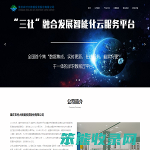 重庆农村大数据投资股份有限公司